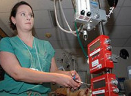 Capno 101: What is Acute Respiratory Distress Syndrome?